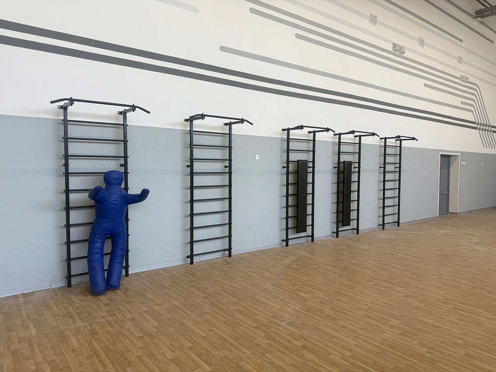 Многопрофильный лицей имени Циолковского, г. Липецк (зал гимнастики)